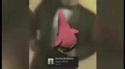 Bia