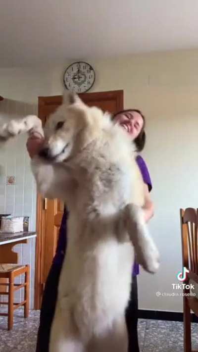 Big boi