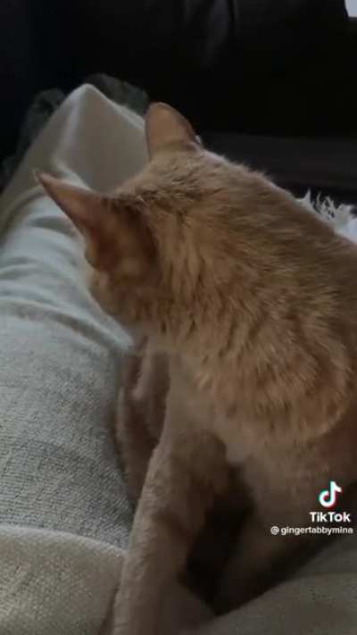 He&rsquo;s so angry it&rsquo;s cute.