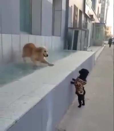 First kiss