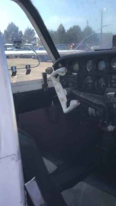 GA customer states &ldquo;ghosts in cockpit&rdquo;