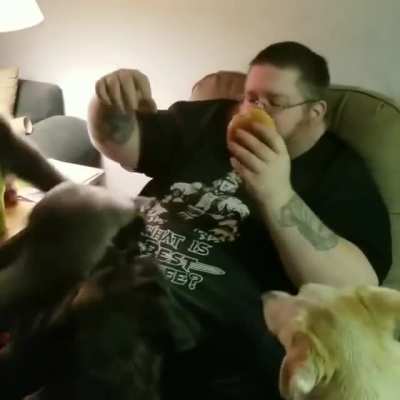 Not the cheeseburger!