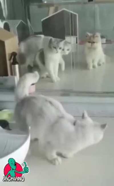 👍