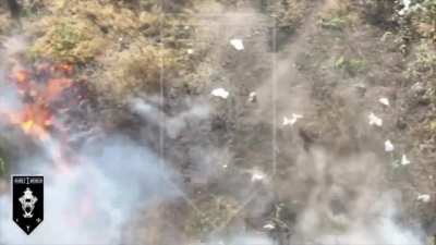 Ukrainian kamikaze drone hits Russian soldier who 