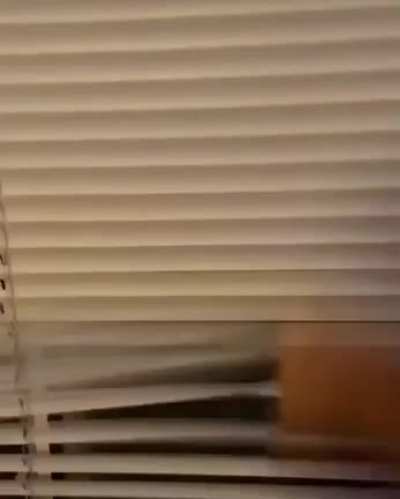 Um titulo (serio to sem ideia de titulo pra isso aqui)