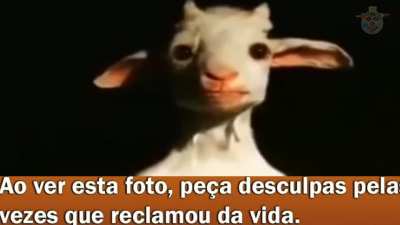 Eh Moller