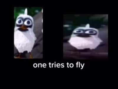 Rip Larry
