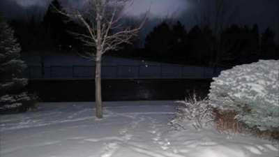 Liminal Winter.