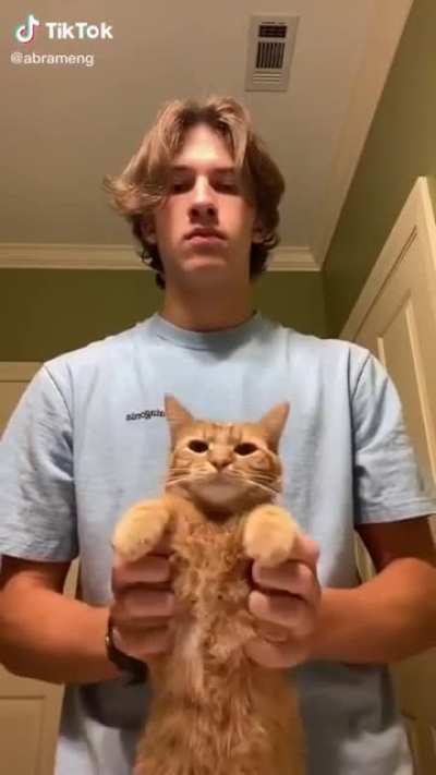 My attention&rsquo;s on the cat