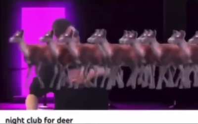 Nightclam for Deer