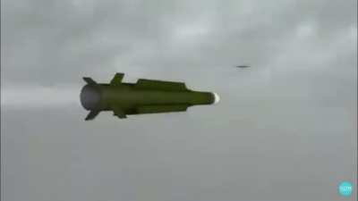 Based Surface to air missle