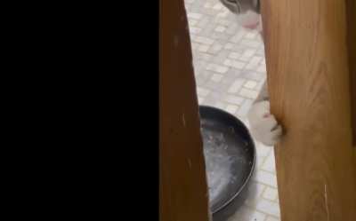 Tap tap&hellip; Creak