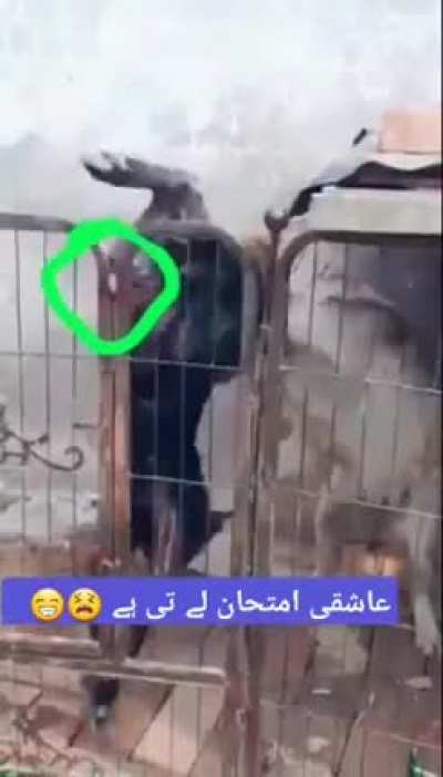 I have no words