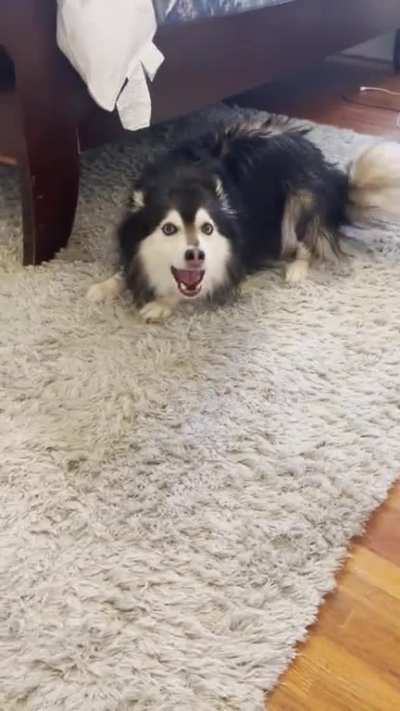 Keanu&rsquo;s post bath song.