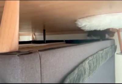 Regular monorail-cat track