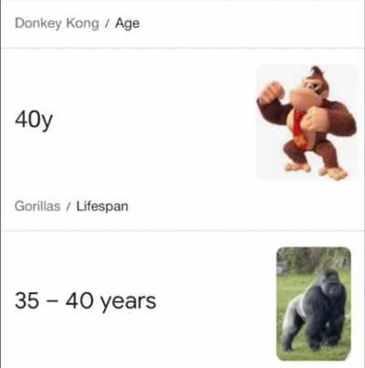Big monke &hellip;