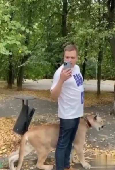 Taking the cat for a walk