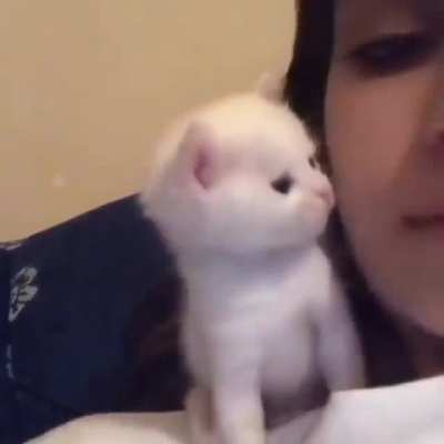 Love shown then reciprocated