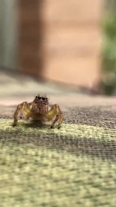 I was just trying to take a video of it
