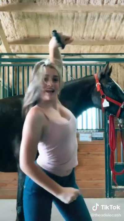 Horse