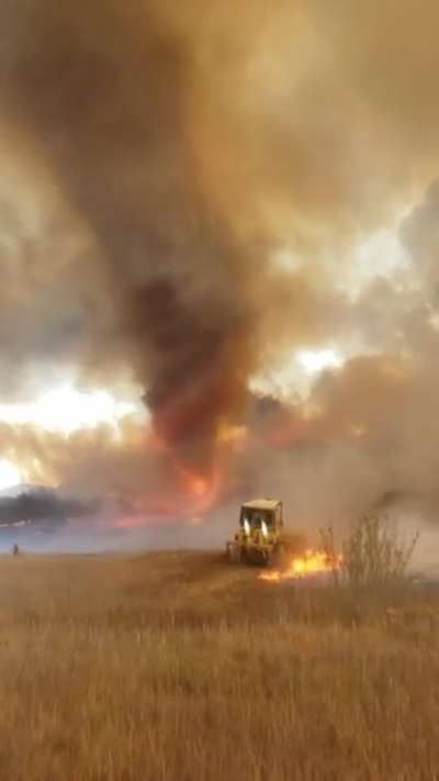 In California, fire conditions are so intense that they are once again spawning firenadoes. This is from the Chaparral Fire burning just west of Temecula&hellip;