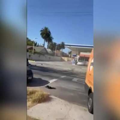 Police pursuit in LA ends with downed power lines and a public freakout