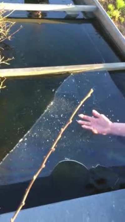 Thick Sheet Of Ice
