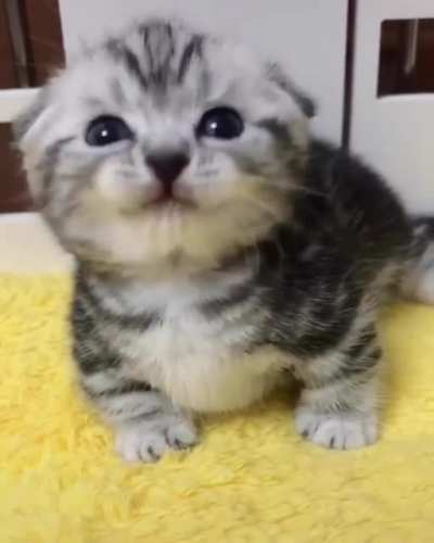 what a little sweetie