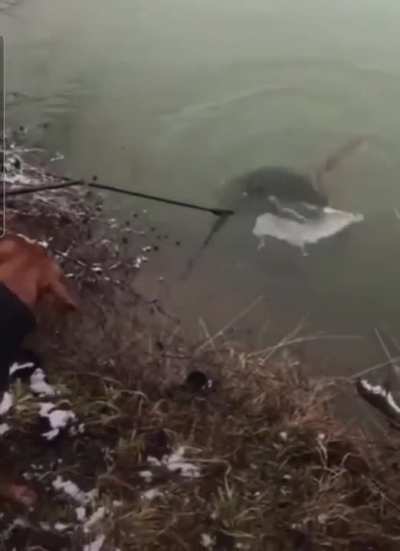 Fishing