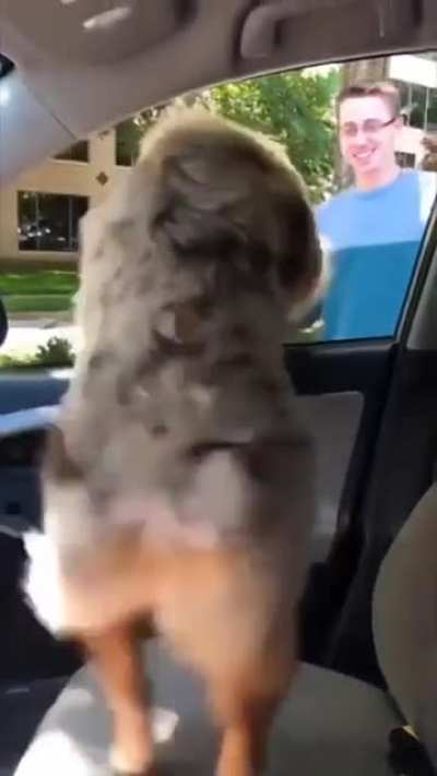 Shake Se&ntilde;ora, shake!