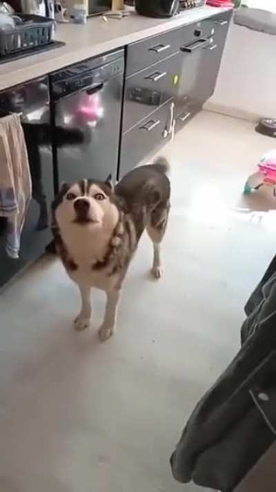 Husker