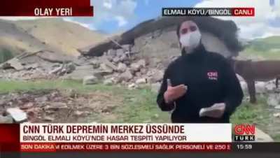 Bing&ouml;l&uuml;n &ccedil;ılgın eşeği, KGB şartlarına g&ouml;re &ccedil;ok ta nsfw değil de neyse