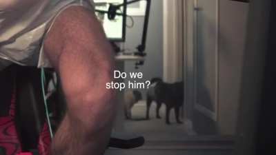 Maya and Edgar's perspective.