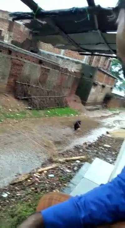 That is wheely good