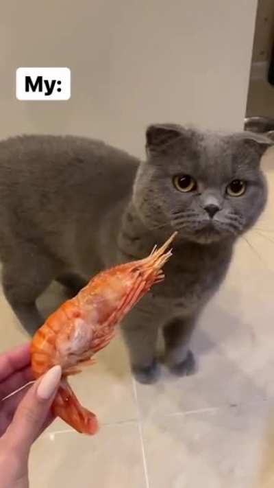 To feed your cat fish