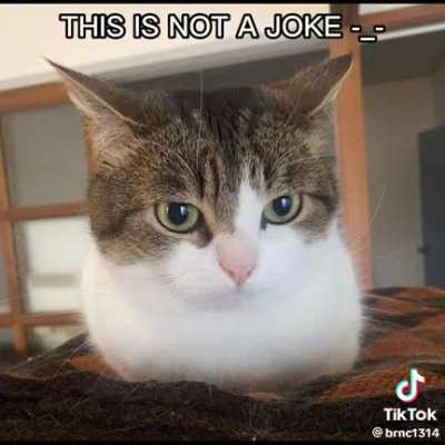:3