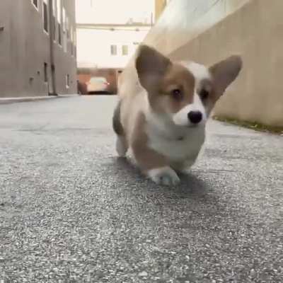 Cuteness overload.