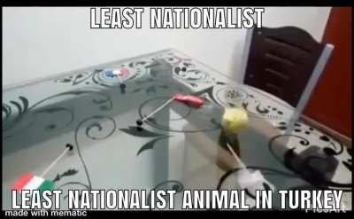🇹🇷🇹🇷🇹🇷💪🏿🧔🏿
