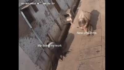 Gaand dost ko aur saand ko kabhi dikhaya nhi jata, dono hi mar lete h