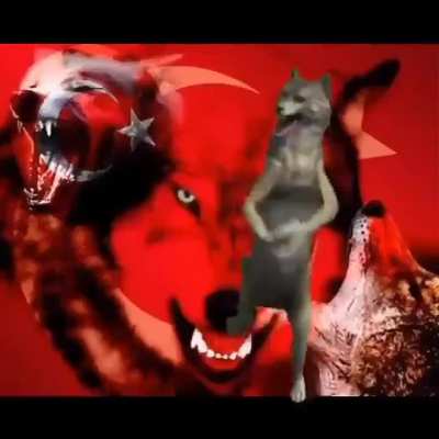 AS ULAN BAYRAKLARI T&Uuml;RKİYE AVRUPA 1.si 🇹🇷🇹🇷🇹🇷🇹🇷