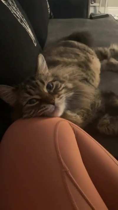 I&rsquo;m so in love with him - the older he gets, the more cuddly he is