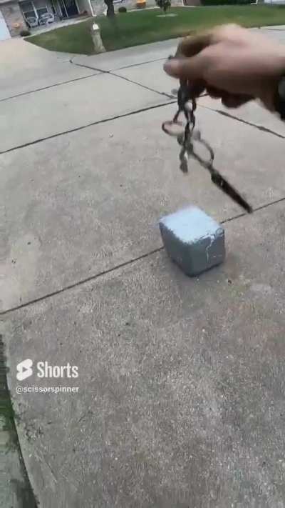 This looks fun