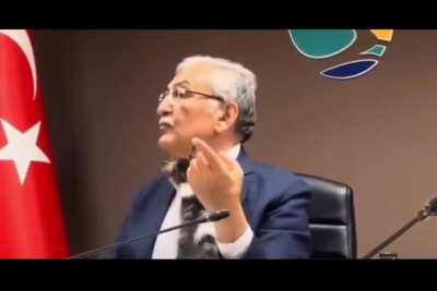 Cats in political meetings? Nothing out of ordinary in T&uuml;rkiye. 