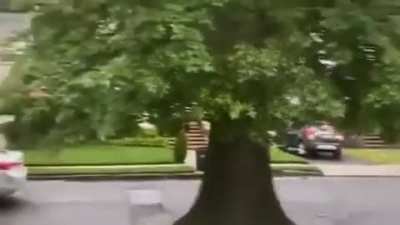 WCGW if a speed bump isn&rsquo;t visible
