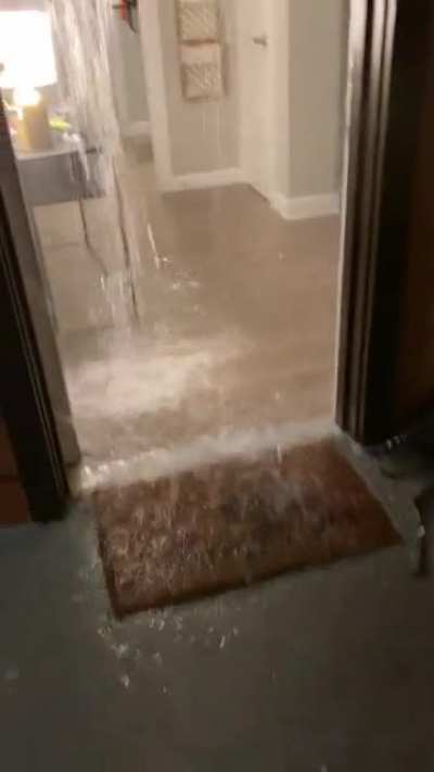 Fire alarm 🚨 and flooding in my apartment complex.