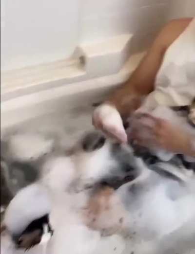 🤣