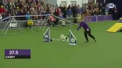 Astonishing displays of athleticism and grace...