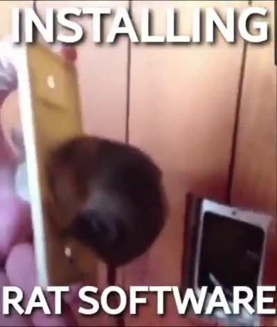 Rat be lookin kinda tasty tho