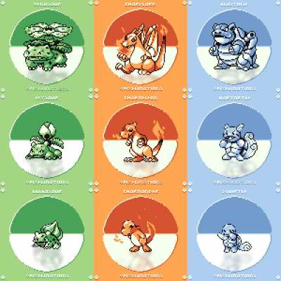 Red/Blue/Green Starters animated 🐸🐉🐢