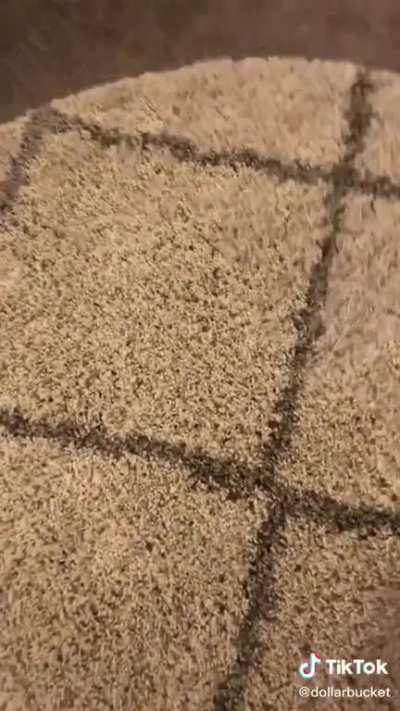 roachrug.